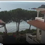 Florida ホテル 3*