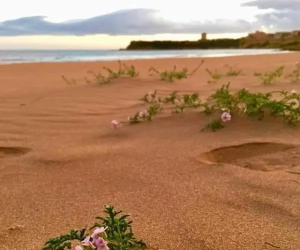 Florida Capo Rizzuto