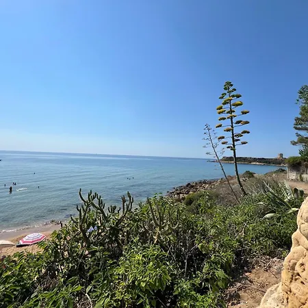 Florida 3*