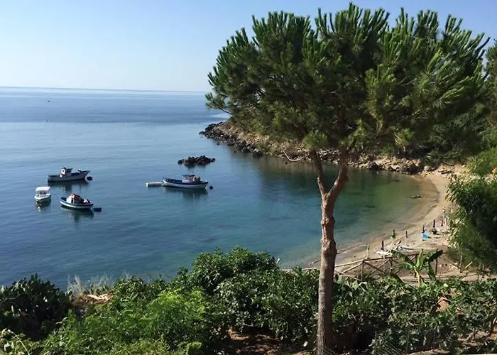 Florida 3* カーポ・リッツート